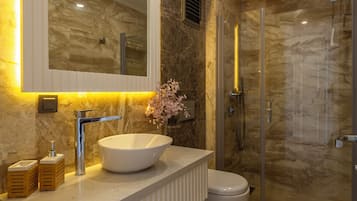Shower, rainfall showerhead, hair dryer, bathrobes