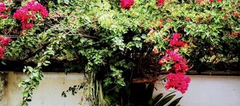 Casita Volcanes Resort Antigua Guatemala. 
15 minutes park of Antigua Guatemala