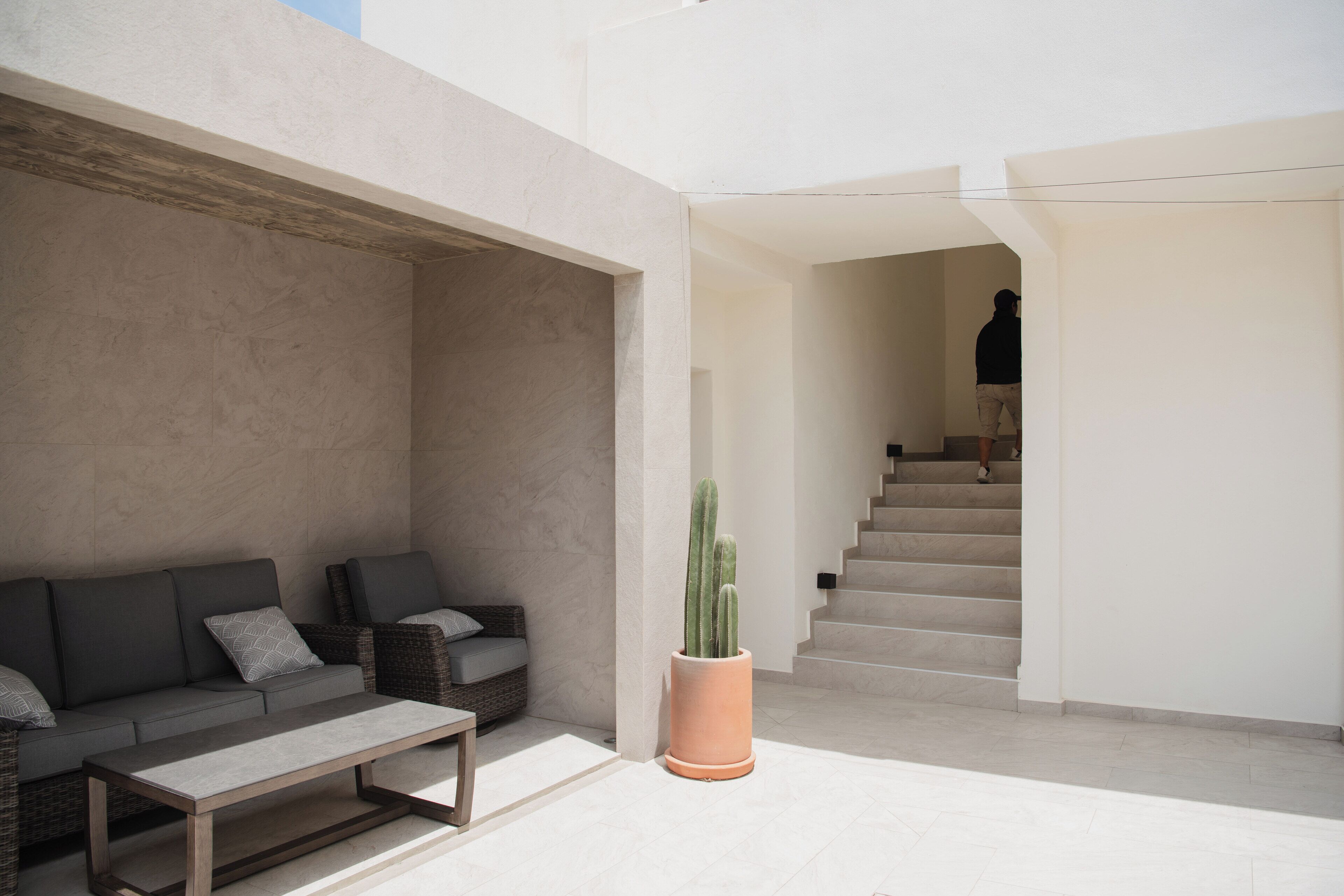 Un intérieur moderne avec un ensemble de canapés, une table basse et un cactus en pot.