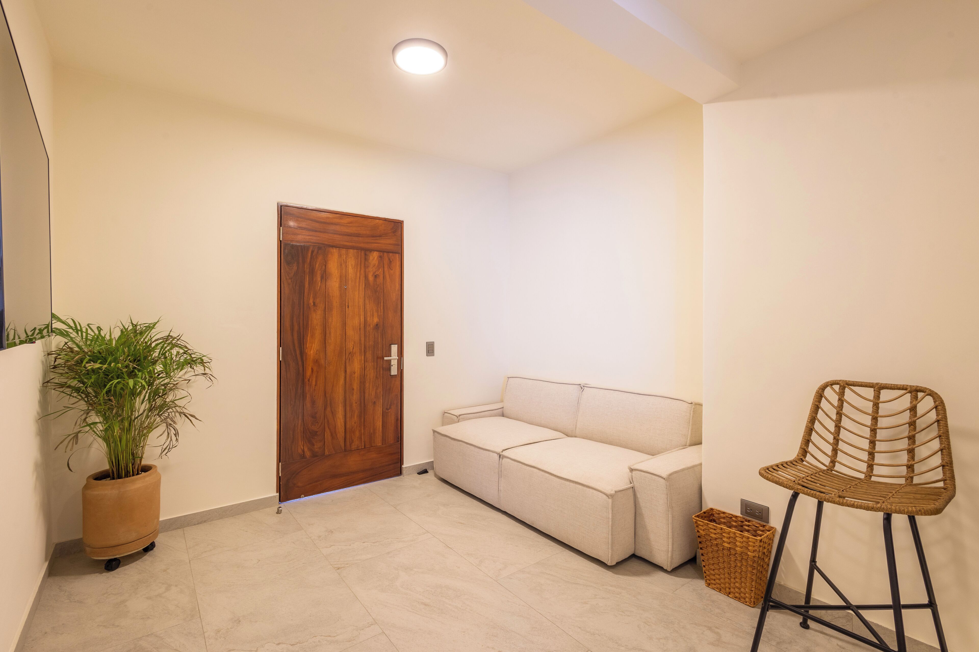 A room with a wooden door, a beige sofa, a wicker chair, and a potted plant.