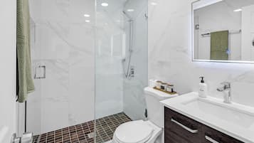 Hair dryer, bidet, towels, soap