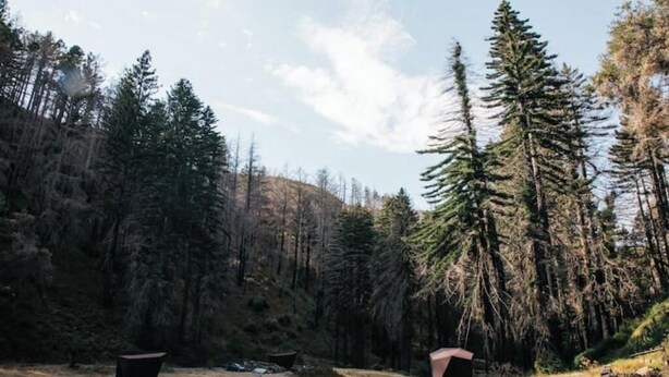 Property grounds - ~360° Views & Riverfront Nature Getaway~ Whitefish (Kalispell)