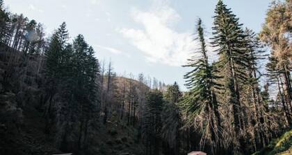 ~360° Views & Riverfront Nature Getaway~ Whitefish