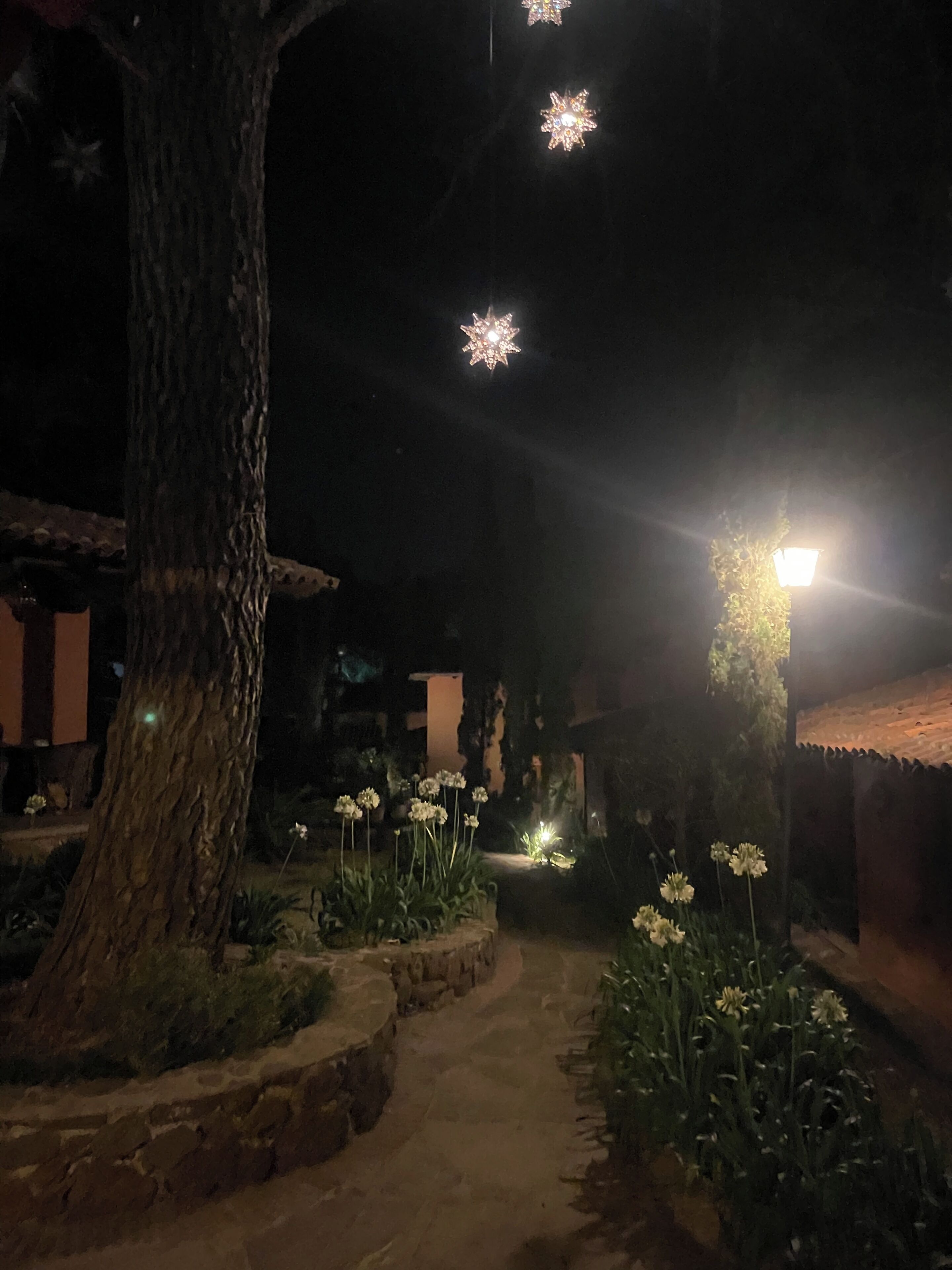 Un sendero en un jardín nocturno, con un árbol, flores blancas y un farol.