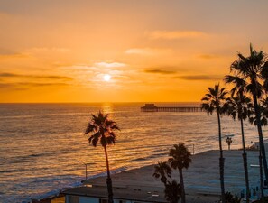 A beach with palm trees and a pier in the background during sunset. - California Dreamin' - O'side Palms (Oceanside)