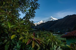 A mountainous landscape with a snow-capped peak, a green building with a red roof, and lush greenery in the foreground.