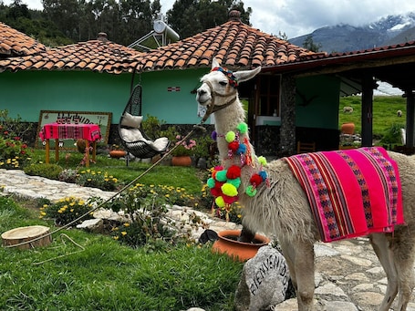 Fachada. TULLPA RUMY