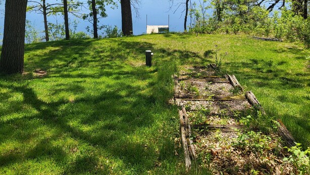 A grassy area with trees and a lake.