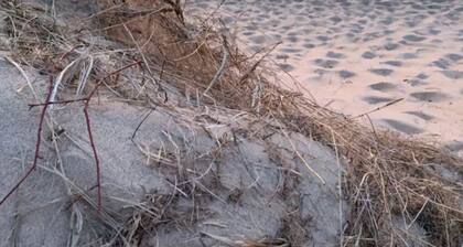 Corner Cottage, Downtown Saugatuck