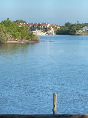 Sun-loungers, beach towels - Beautiful Waterfront Condo...Watch the boats and dolphins! (New Smyrna Beach)