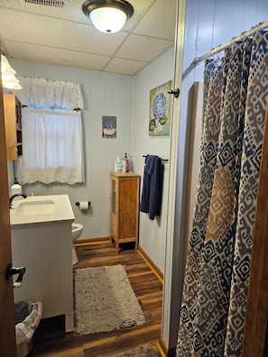 Shower, hair dryer, towels - The Nest is Best in Bear Paw, Murphy, NC. (Murphy)