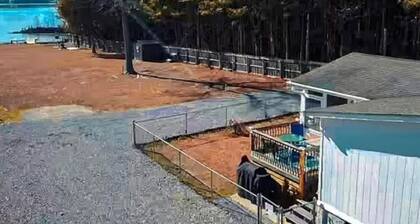 Cozy hideaway on Weiss Lake
with private dock and kayaks!