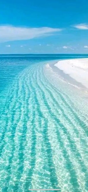 On peut clairement voir une plage avec une eau turquoise et du sable blanc.
