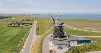 „ Stille des Nordens unter Reetdach “ großzügig geschnittene Ferienwohnung für 3 Personen im OG