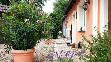 Detalle exterior