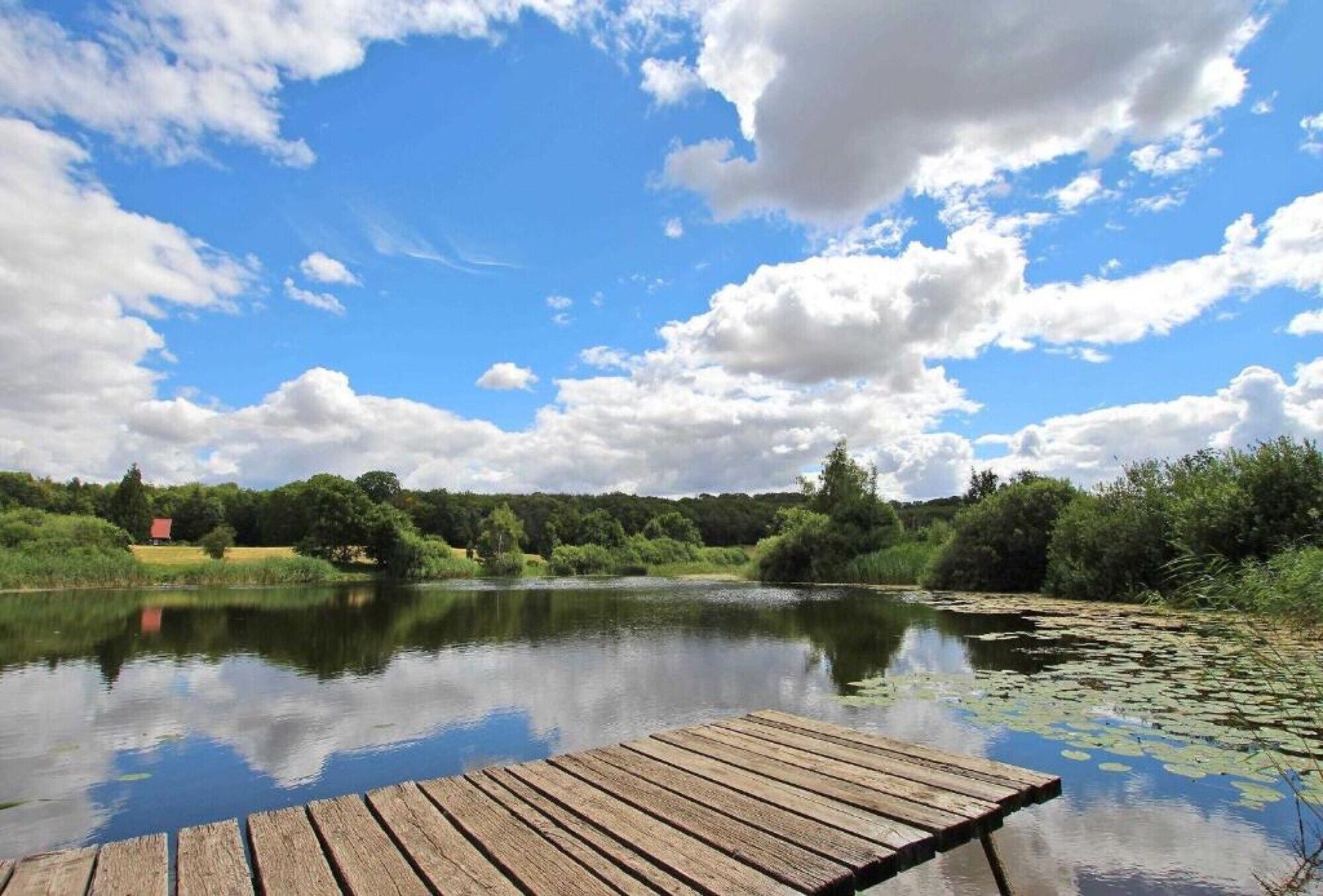 A wooden dock extending over calm water with a clear sky and greenery in the background.