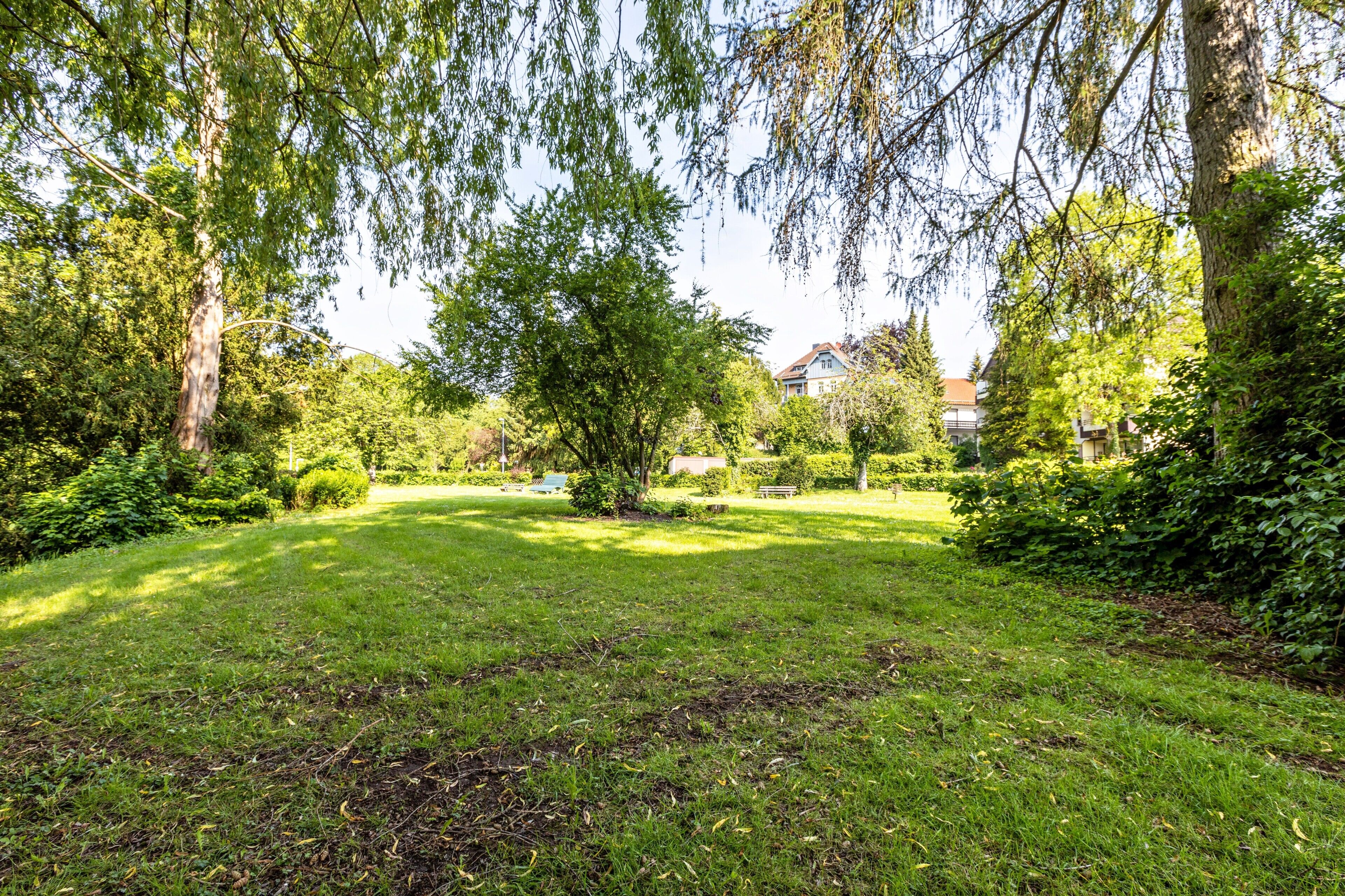Ein gepflegter Rasen mit Bäumen und einem Haus im Hintergrund.