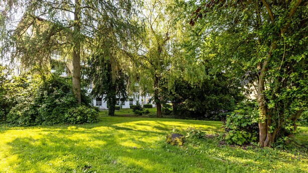 Un jardin luxuriant, avec des arbres et de l’herbe.