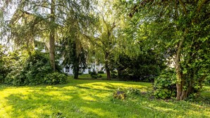 Ein üppiger Garten mit Bäumen und Rasen.