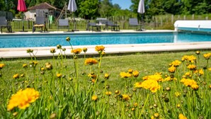 A swimming pool with lounge chairs and umbrellas, surrounded by a grassy area with yellow flowers. - Gîte Le Pigeonnier with Shared Pool, Wi-Fi, and Air Conditioning (Chassaignes)