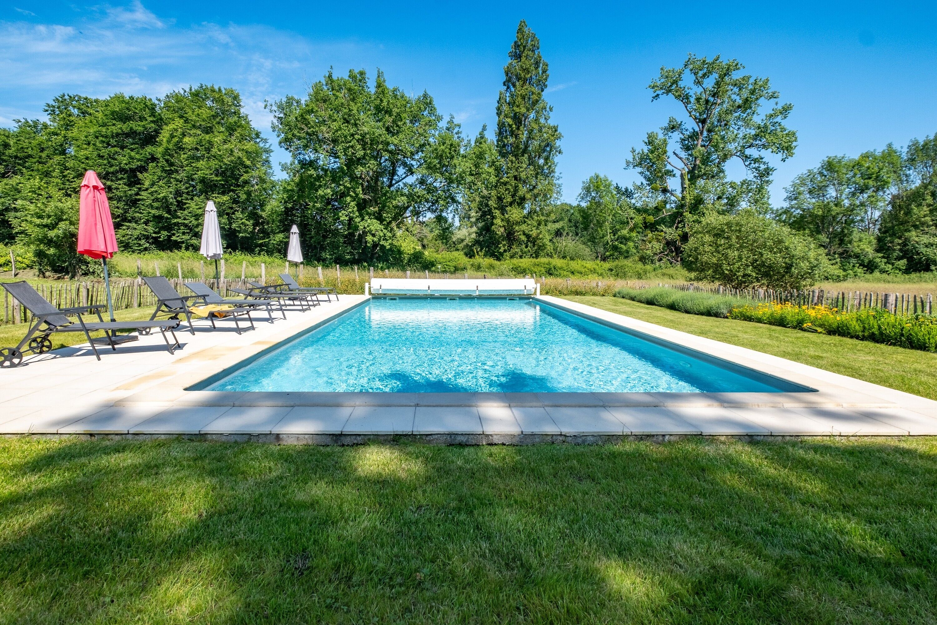 Ein rechteckiger Pool mit einer bepflasterten Liegefläche, umgeben von Gras und Bäumen.