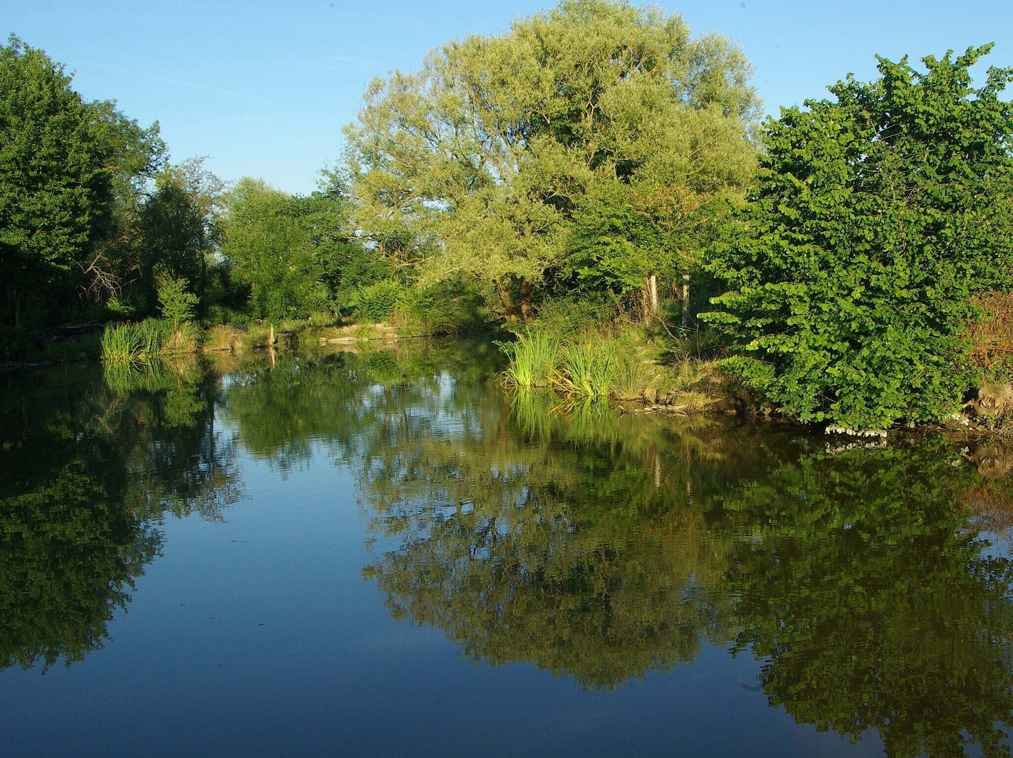 Ein ruhiger Fluss, der Bäume und Grünspitzen spiegelt.