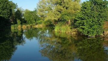 Ein ruhiger Fluss, der Bäume und Grünspitzen spiegelt.