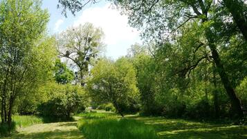 A pathway through a lush green park with trees and grass.