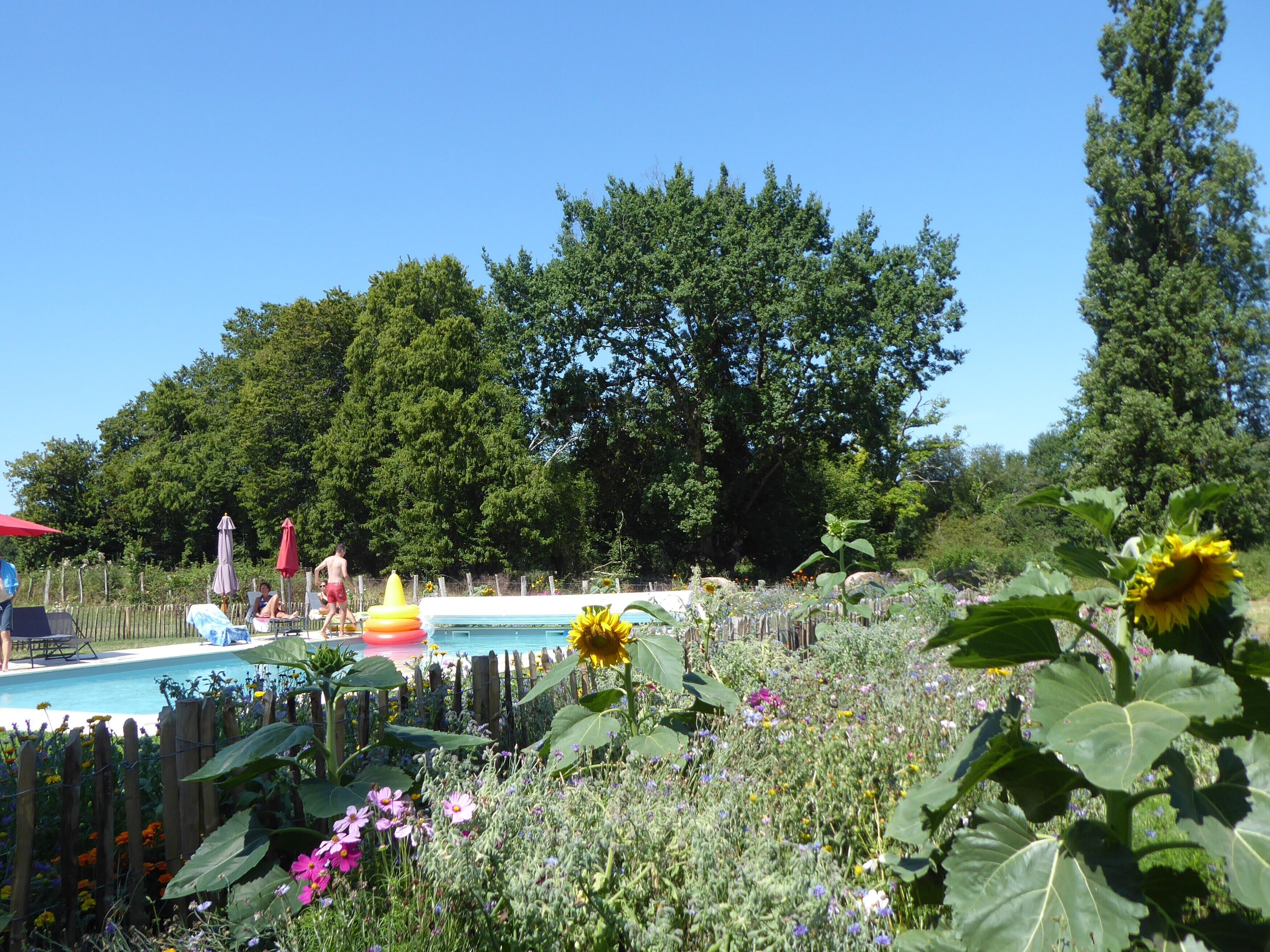 Un espace piscine entouré d’une clôture en bois, agrémenté de diverses plantes et fleurs.