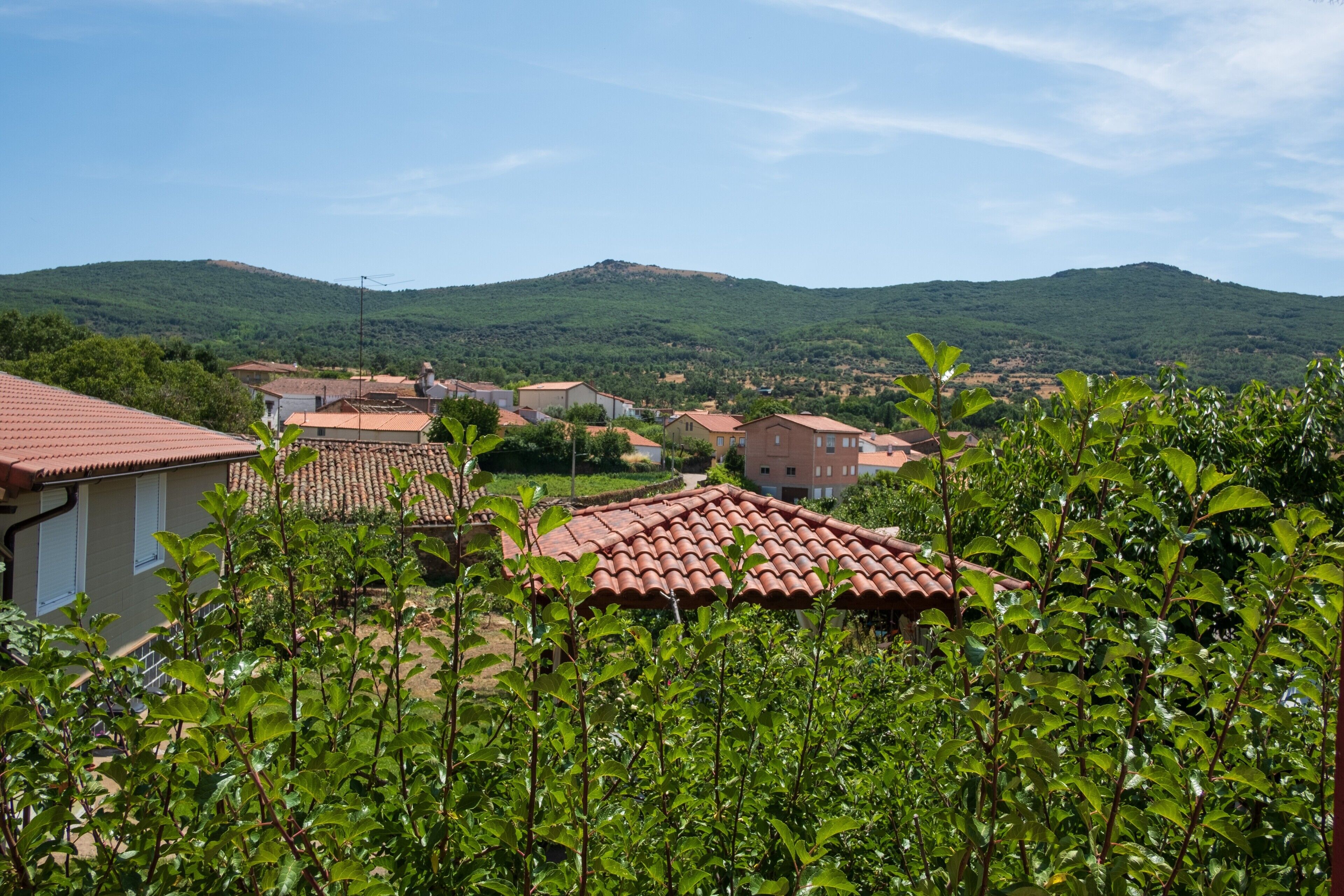 A residential area with houses, a hill in the background, and greenery in the foreground.