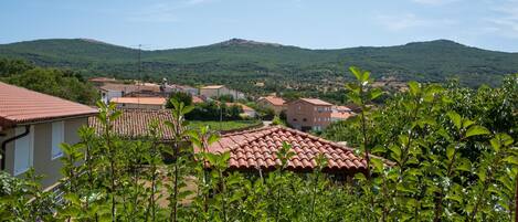 A residential area with houses, a hill in the background, and greenery in the foreground.