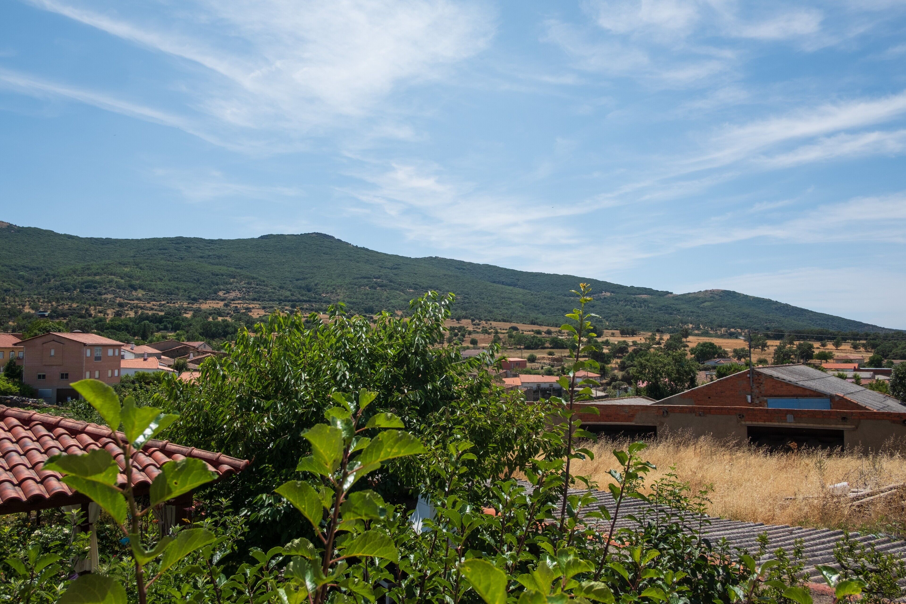 Un paisaje rural con casas, follaje y colinas.