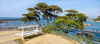 Apartment 'Spacieux Face Mer' with Sea View and Balcony
