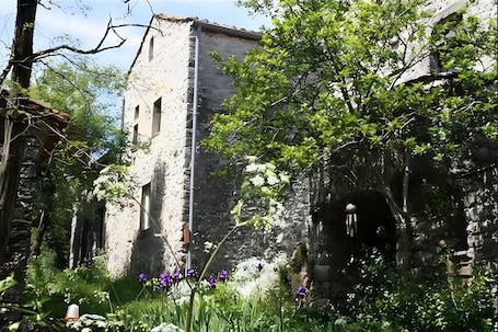 Exterior. Stone house in the heart of Larzac, free-roaming horses and horse-drawn carriage rides