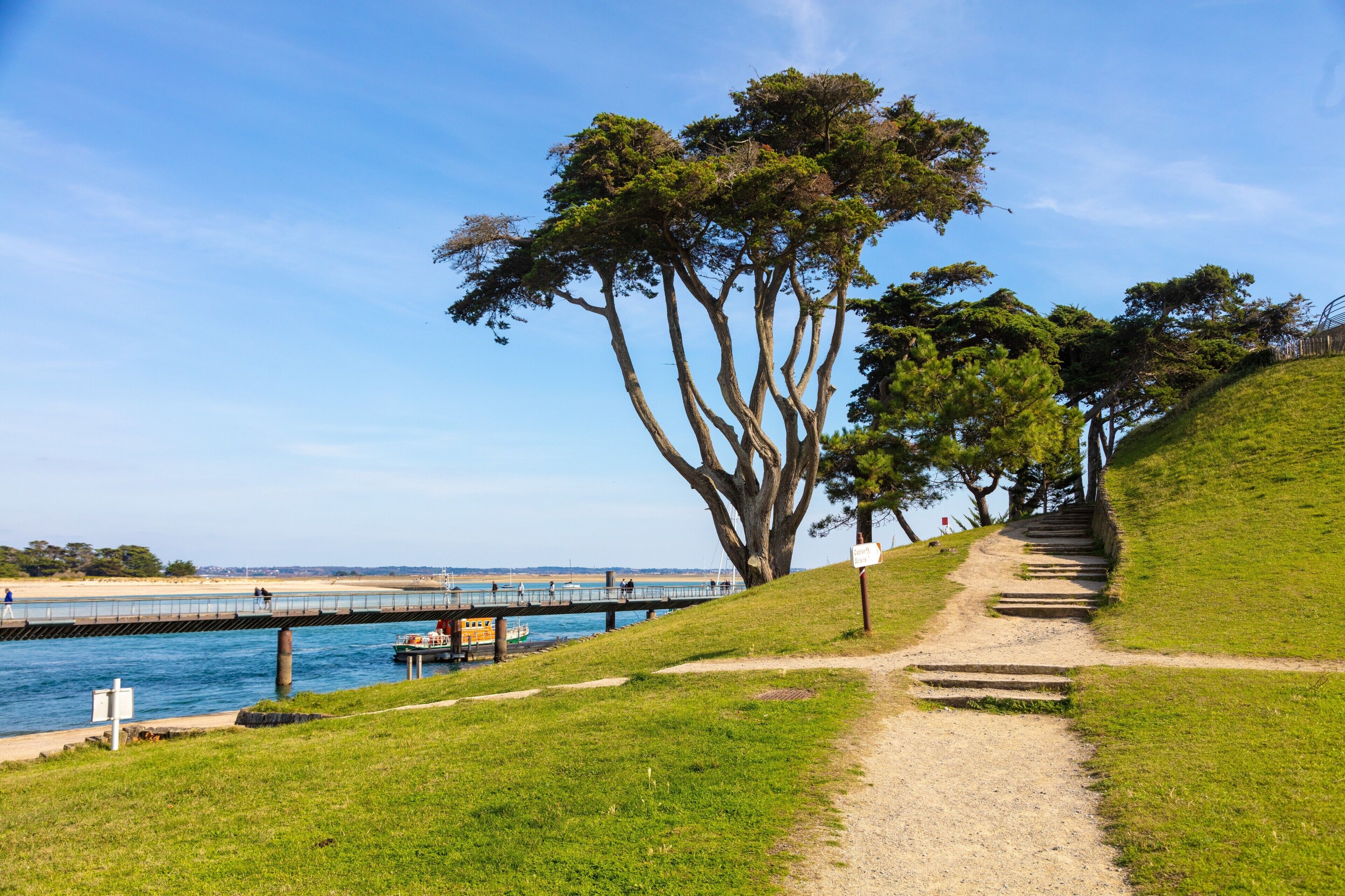 A coastal path with a bridge, a boat, and a large tree.