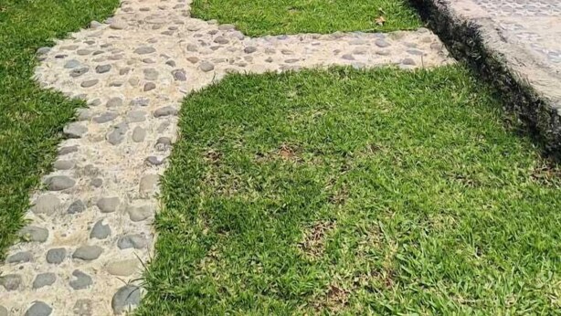 Un sendero en un jardín conduce a una casa con techo de tejas, rodeada de exuberante vegetación y montañas al fondo.