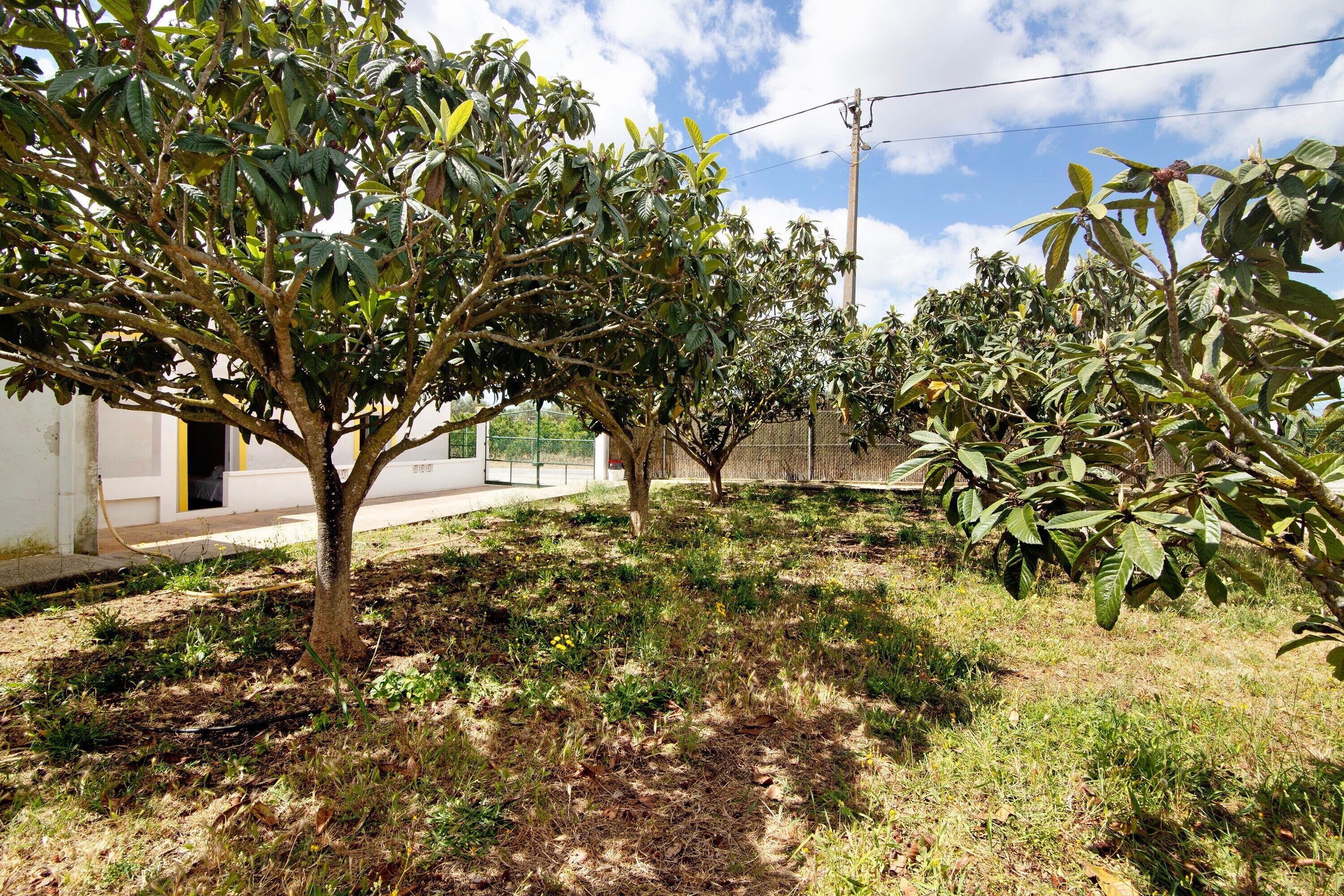 Áreas de la propiedad