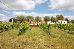 Property grounds - Holiday Apartment 'Casa Do Livramento Adega' with Shared Pool, Wi-Fi and Air Conditioning (Tavira)