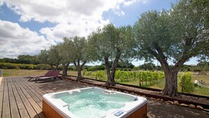 Une terrasse en bois avec un jacuzzi, des chaises longues et des oliviers.