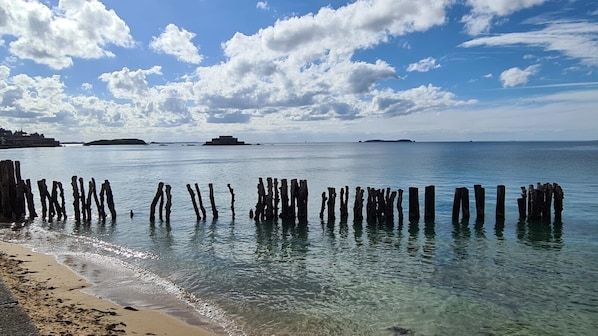 Une plage avec des poteaux en bois plantés dans l’eau, un ciel dégagé et une terre ferme visible au loin.