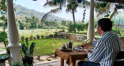 Ella Nature Valley Homestay- Family Friendly Lovely Place surround by mountains.