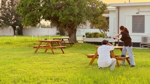 Un espacio al aire libre con césped, mesas de picnic y un árbol grande.