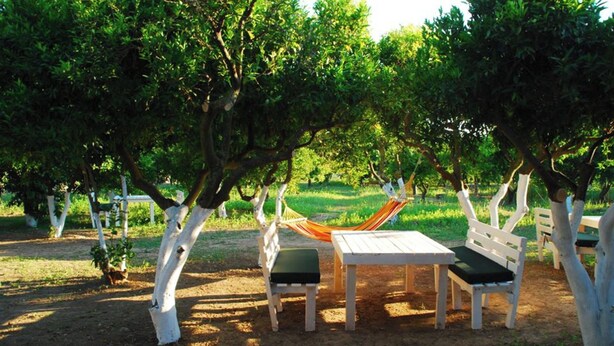 Exterior - Bodrum Ecohostel (Bodrum)