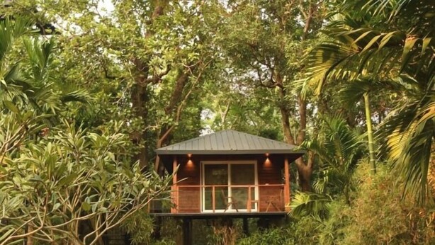 A treehouse with a metal roof, surrounded by dense foliage. - Aranya Nivas Resort (Samakhunta)