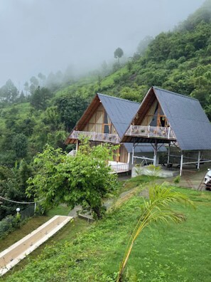 Blick auf den Garten