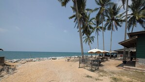 A beach with palm trees, a sandy shore, and a building with outdoor seating.