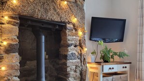 Una xemeneia de pedra amb un foc a llenya modern, un televisor penjat a la paret i una planta decorativa.