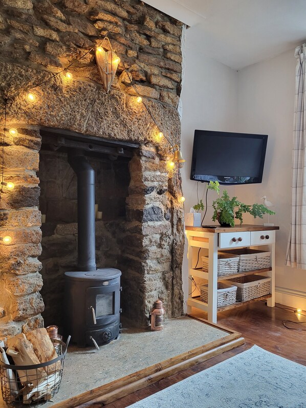 A stone fireplace with a modern wood stove, a mounted TV, and a decorative plant.