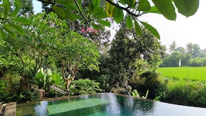 Una piscina rectangular y cristalina con borde de azulejos, rodeada de exuberante follaje y árboles.