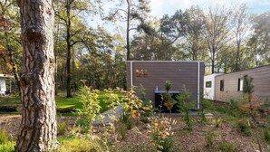 A modern cabin with a wooden exterior, surrounded by a forested area with a variety of trees and shrubs. - Vacation Home in Haarle near Hellendoorn (Haarle)